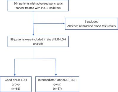 A composite indicator of derived neutrophil–lymphocyte ratio and lactate dehydrogenase correlates with outcomes in pancreatic carcinoma patients treated with PD-1 inhibitors